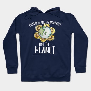 Destroy the patriarchy not the planet Hoodie